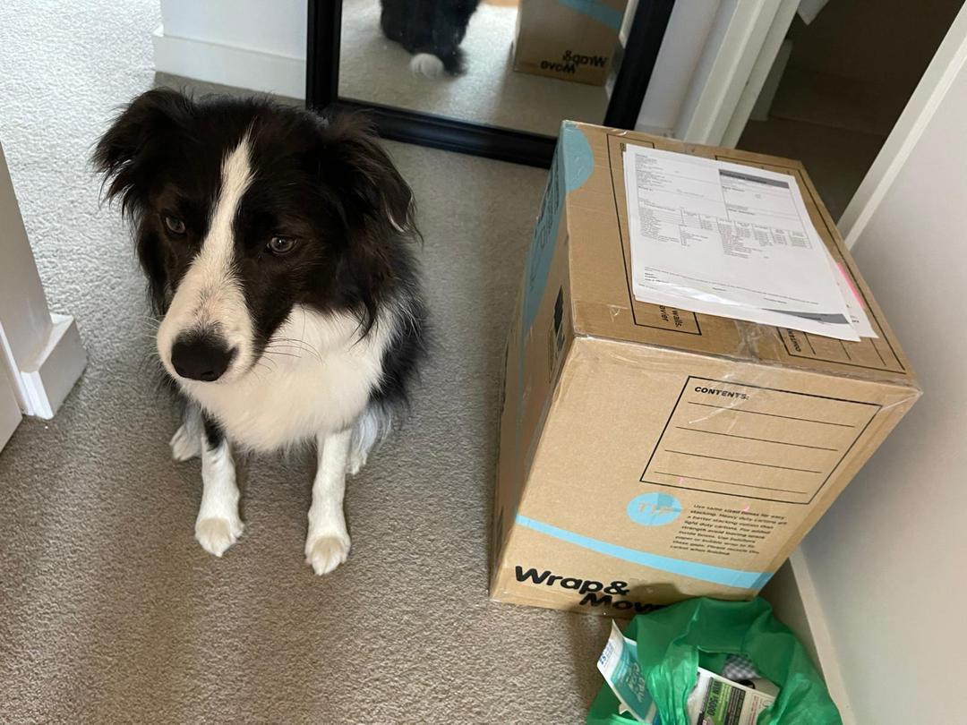 Happy customer's parcel ready to ship